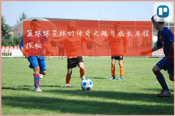 篮球球星林的传奇之路与成长历程探秘