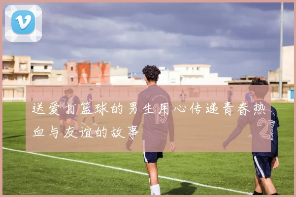 送爱打篮球的男生用心传递青春热血与友谊的故事