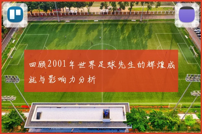 回顾2001年世界足球先生的辉煌成就与影响力分析