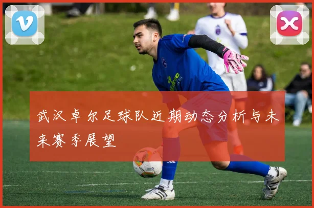 武汉卓尔足球队近期动态分析与未来赛季展望