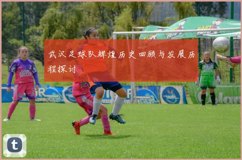 武汉足球队辉煌历史回顾与发展历程探讨