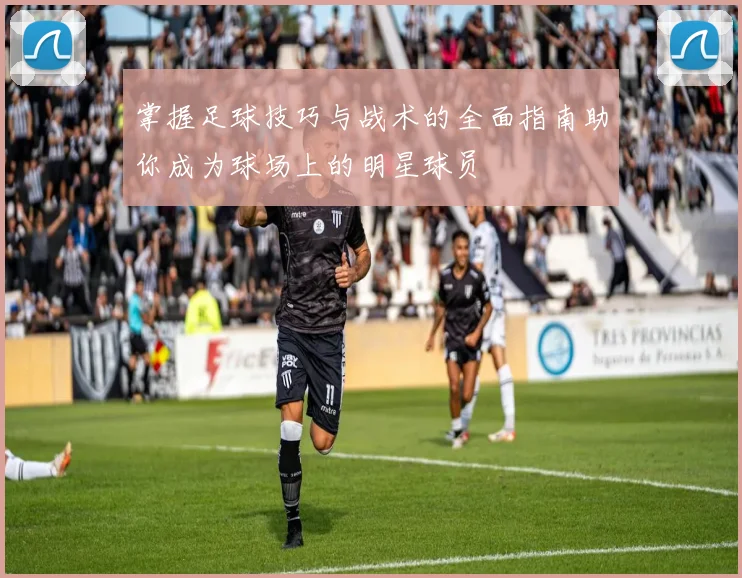 掌握足球技巧与战术的全面指南助你成为球场上的明星球员