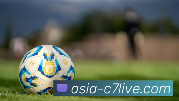 C7娱乐平台生态图